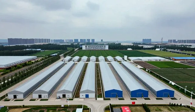 工程配套服务如何通过操作便捷性提升环境因素应对效率